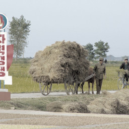 10 Facts About Food (Shortages) in North Korea