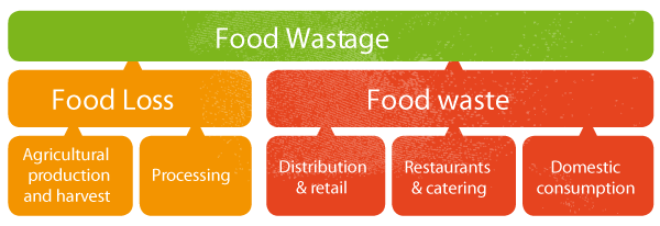 does-it-matter-if-we-say-food-loss-or-food-waste-food-policy-for