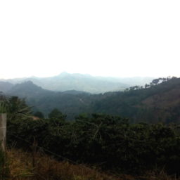 Dispatches from the Field: Honduras